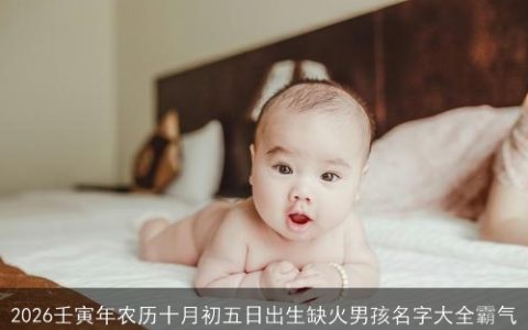 2026壬寅年农历十月初五日出生缺火男孩名字大全霸气