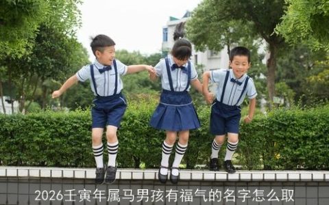 2026壬寅年属马男孩有福气的名字怎么取