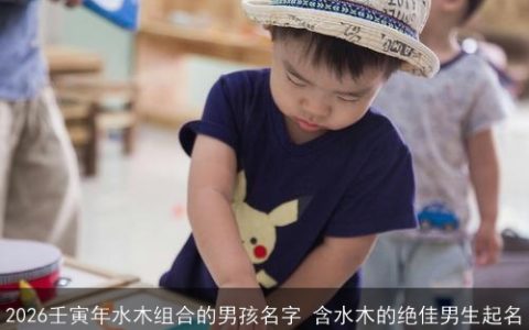 2026壬寅年水木组合的男孩名字 含水木的绝佳男生起名