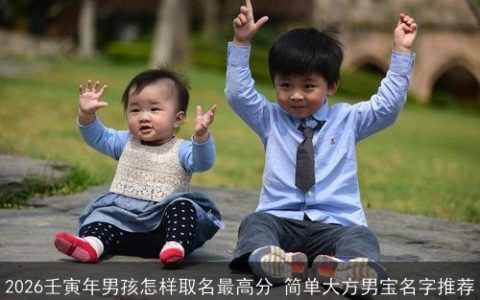 2026壬寅年男孩怎样取名最高分 简单大方男宝名字推荐
