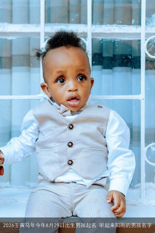 2026壬寅马年今年8月29日出生男孩起名 听起来阳刚的男孩名字