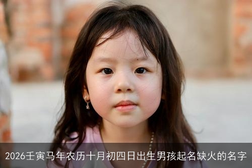 2026壬寅马年农历十月初四日出生男孩起名缺火的名字