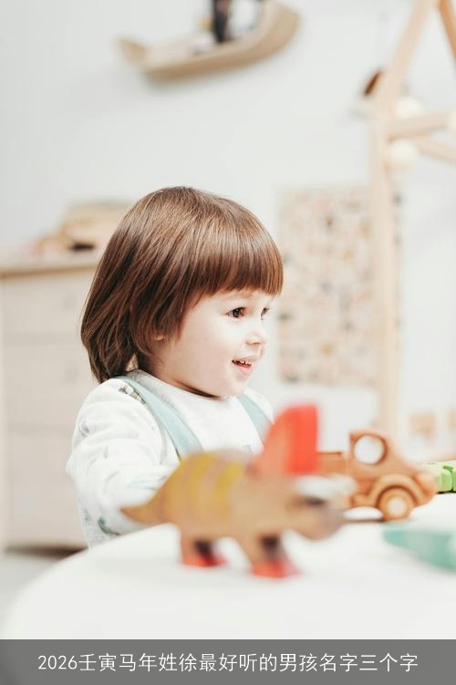 2026壬寅马年姓徐最好听的男孩名字三个字