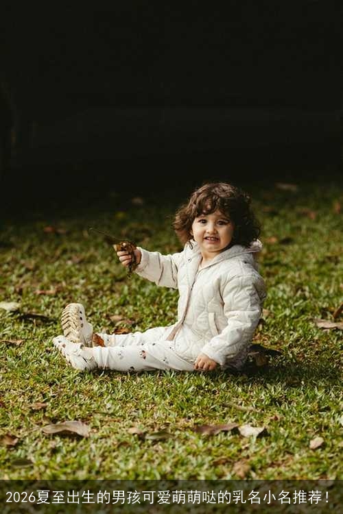 2026夏至出生的男孩可爱萌萌哒的乳名小名推荐！