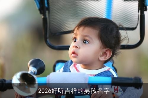 2026好听吉祥的男孩名字