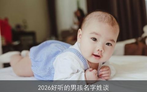 2026好听的男孩名字姓谈