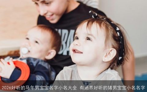 2026好听的马年男宝宝名字小名大全 有涵养好听的猪男宝宝小名名字