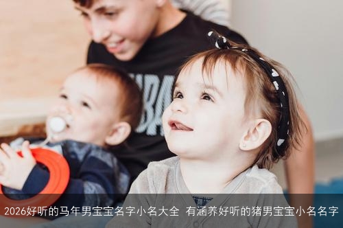 2026好听的马年男宝宝名字小名大全 有涵养好听的猪男宝宝小名名字