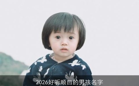 2026好听顺口的男孩名字
