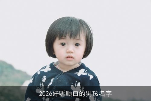 2026好听顺口的男孩名字