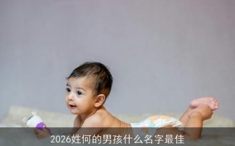 2026姓何的男孩什么名字最佳