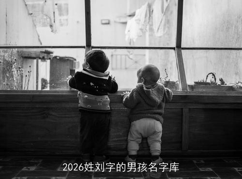 2026姓刘字的男孩名字库