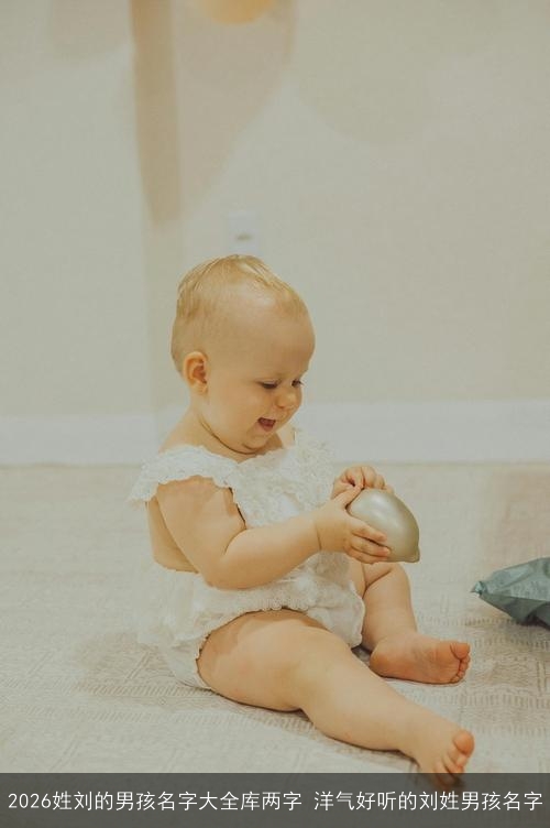 2026姓刘的男孩名字大全库两字 洋气好听的刘姓男孩名字