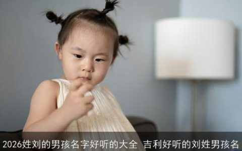 2026姓刘的男孩名字好听的大全 吉利好听的刘姓男孩名