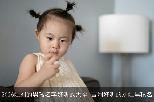2026姓刘的男孩名字好听的大全 吉利好听的刘姓男孩名