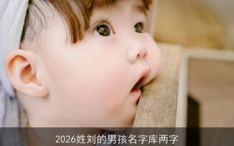2026姓刘的男孩名字库两字