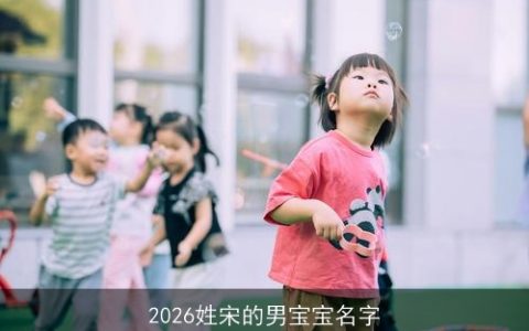 2026姓宋的男宝宝名字