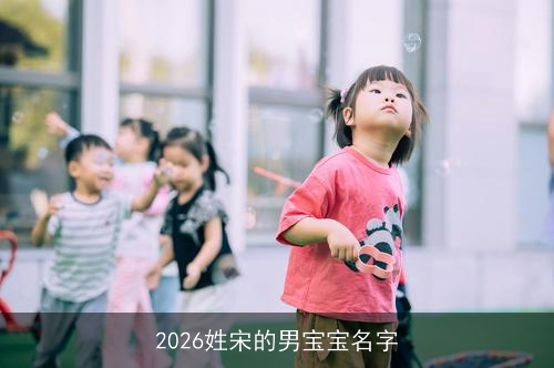 2026姓宋的男宝宝名字