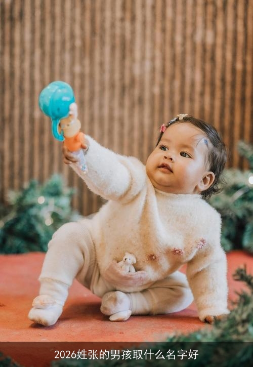 2026姓张的男孩取什么名字好