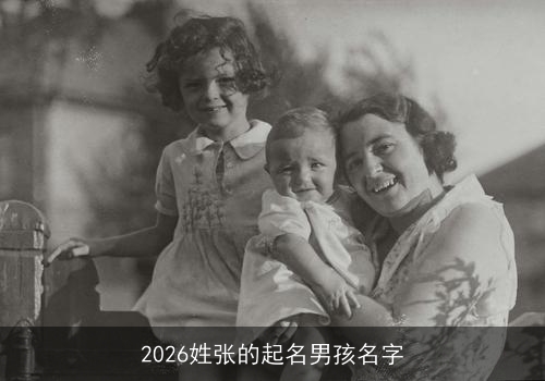 2026姓张的起名男孩名字
