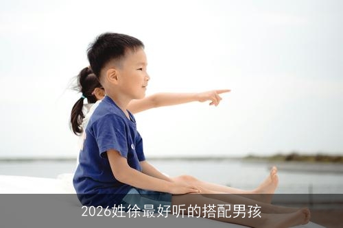 2026姓徐最好听的搭配男孩