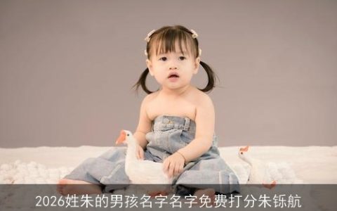 2026姓朱的男孩名字名字免费打分朱铄航