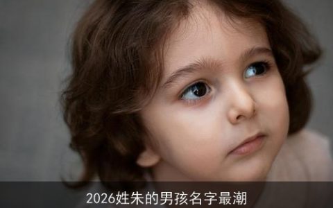 2026姓朱的男孩名字最潮