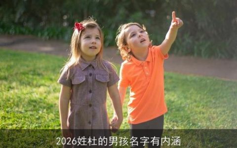 2026姓杜的男孩名字有内涵