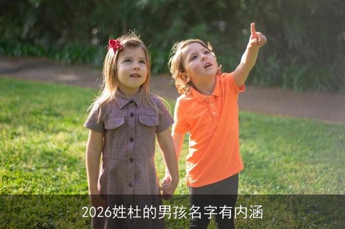 2026姓杜的男孩名字有内涵