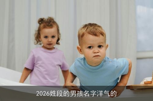 2026姓段的男孩名字洋气的