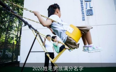 2026姓毛男孩满分名字