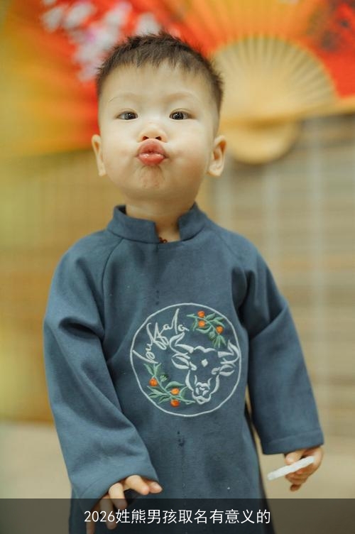 2026姓熊男孩取名有意义的