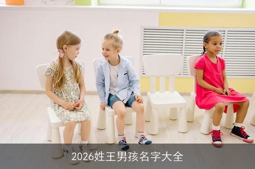2026姓王男孩名字大全