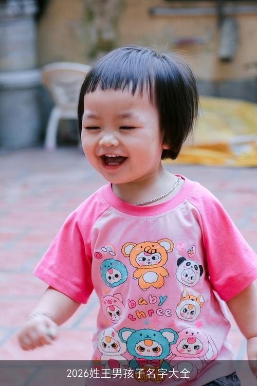 2026姓王男孩子名字大全