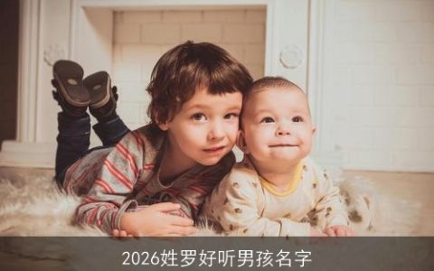 2026姓罗好听男孩名字