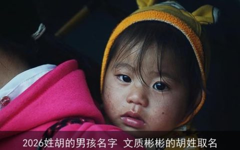 2026姓胡的男孩名字 文质彬彬的胡姓取名