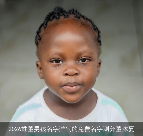 2026姓董男孩名字洋气的免费名字测分董沐夏