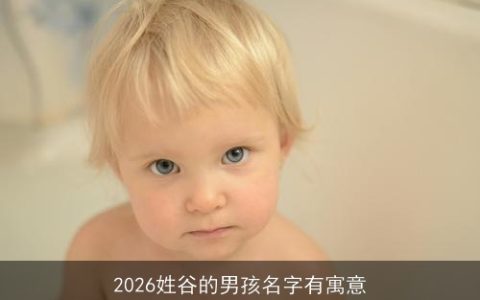 2026姓谷的男孩名字有寓意