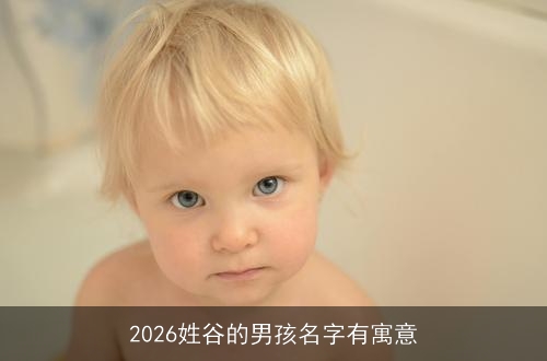 2026姓谷的男孩名字有寓意
