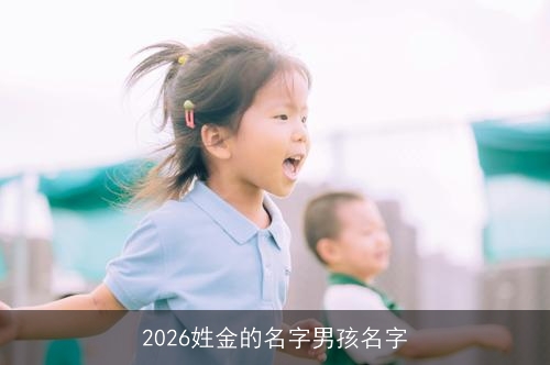 2026姓金的名字男孩名字