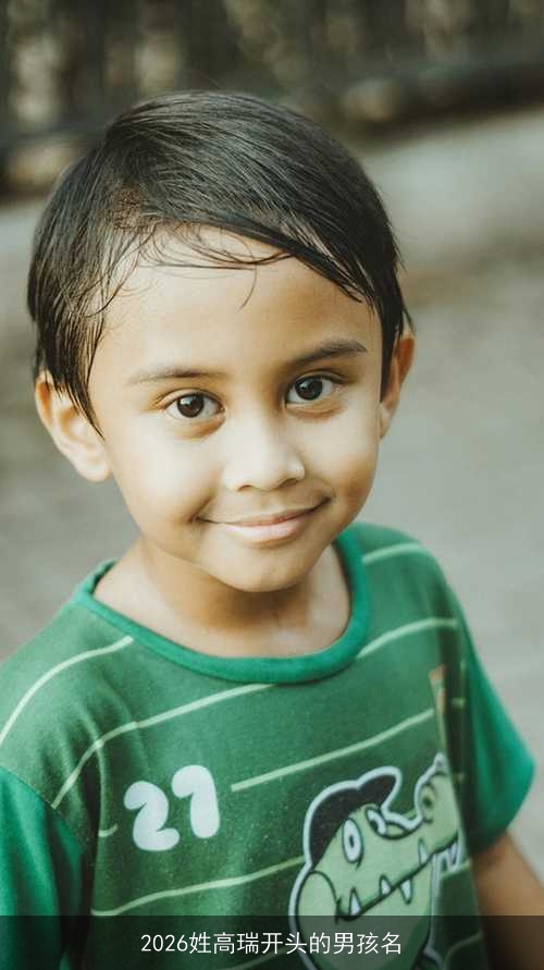 2026姓高瑞开头的男孩名