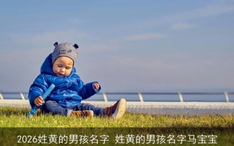 2026姓黄的男孩名字 姓黄的男孩名字马宝宝