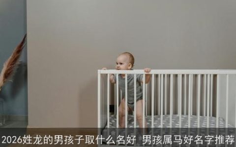 2026姓龙的男孩子取什么名好 男孩属马好名字推荐