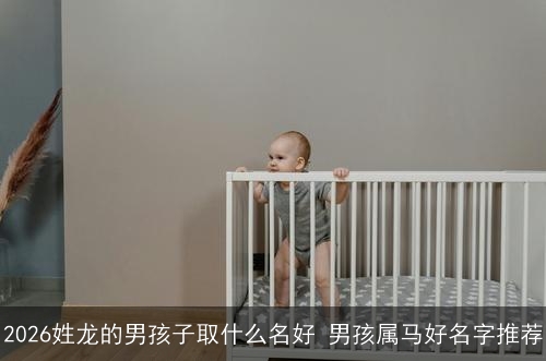 2026姓龙的男孩子取什么名好 男孩属马好名字推荐