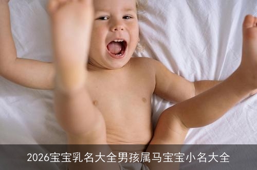 2026宝宝乳名大全男孩属马宝宝小名大全