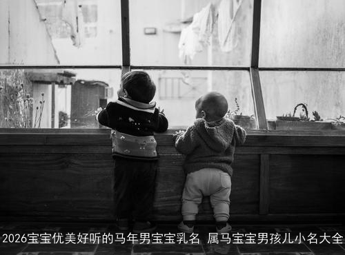 2026宝宝优美好听的马年男宝宝乳名 属马宝宝男孩儿小名大全