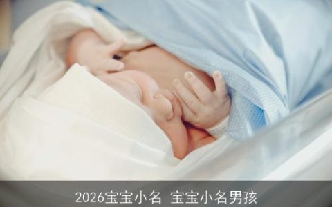 2026宝宝小名 宝宝小名男孩