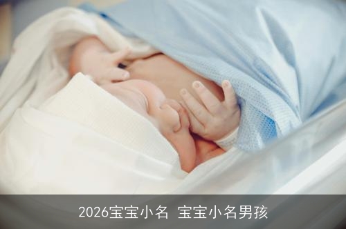 2026宝宝小名 宝宝小名男孩