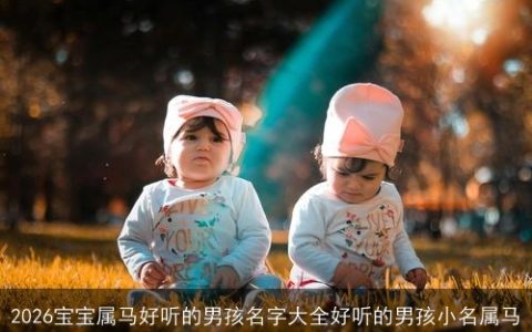 2026宝宝属马好听的男孩名字大全好听的男孩小名属马