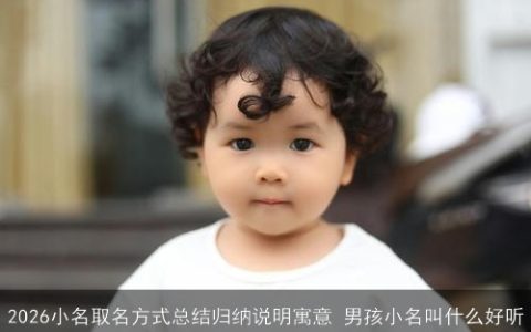 2026小名取名方式总结归纳说明寓意 男孩小名叫什么好听
